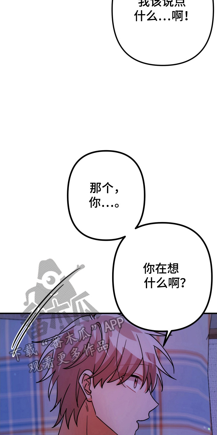 灰熊丘陵房屋漫画,第78章：是错是对3图