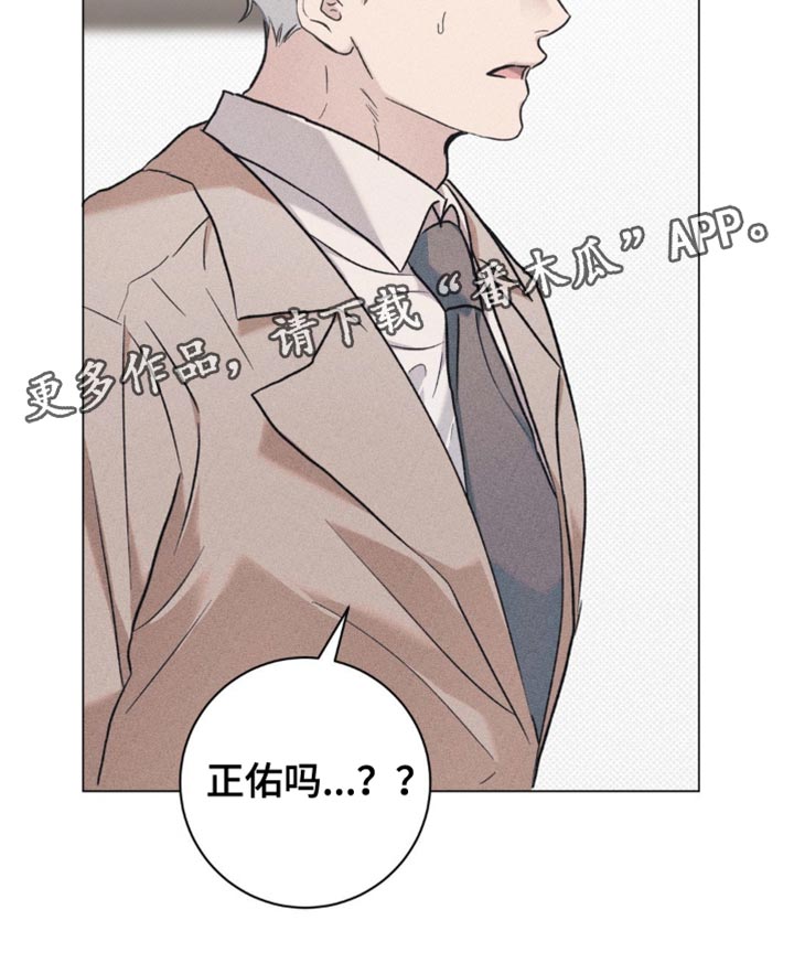 迟来的伴侣漫画全集完整版漫画,第56章：没用的想法1图