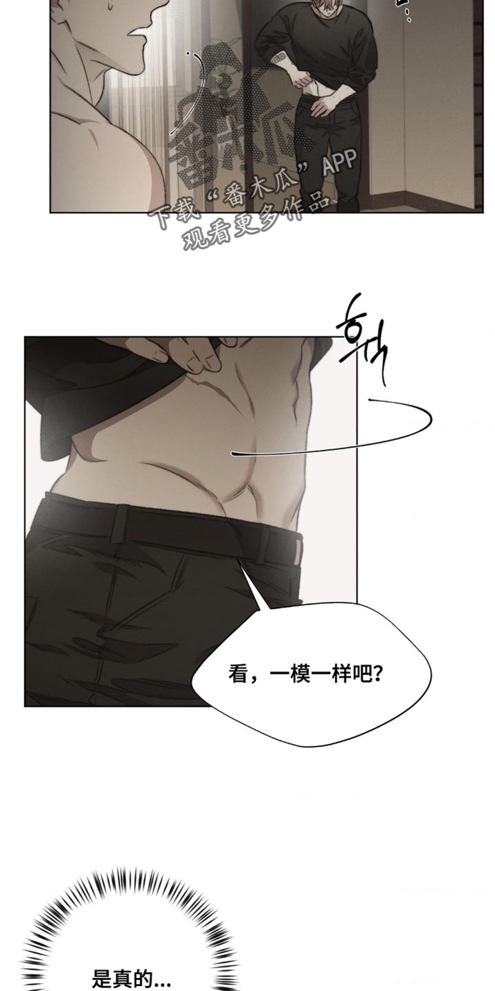 绿洲生态环境有限公司漫画,第17章：一模一样2图