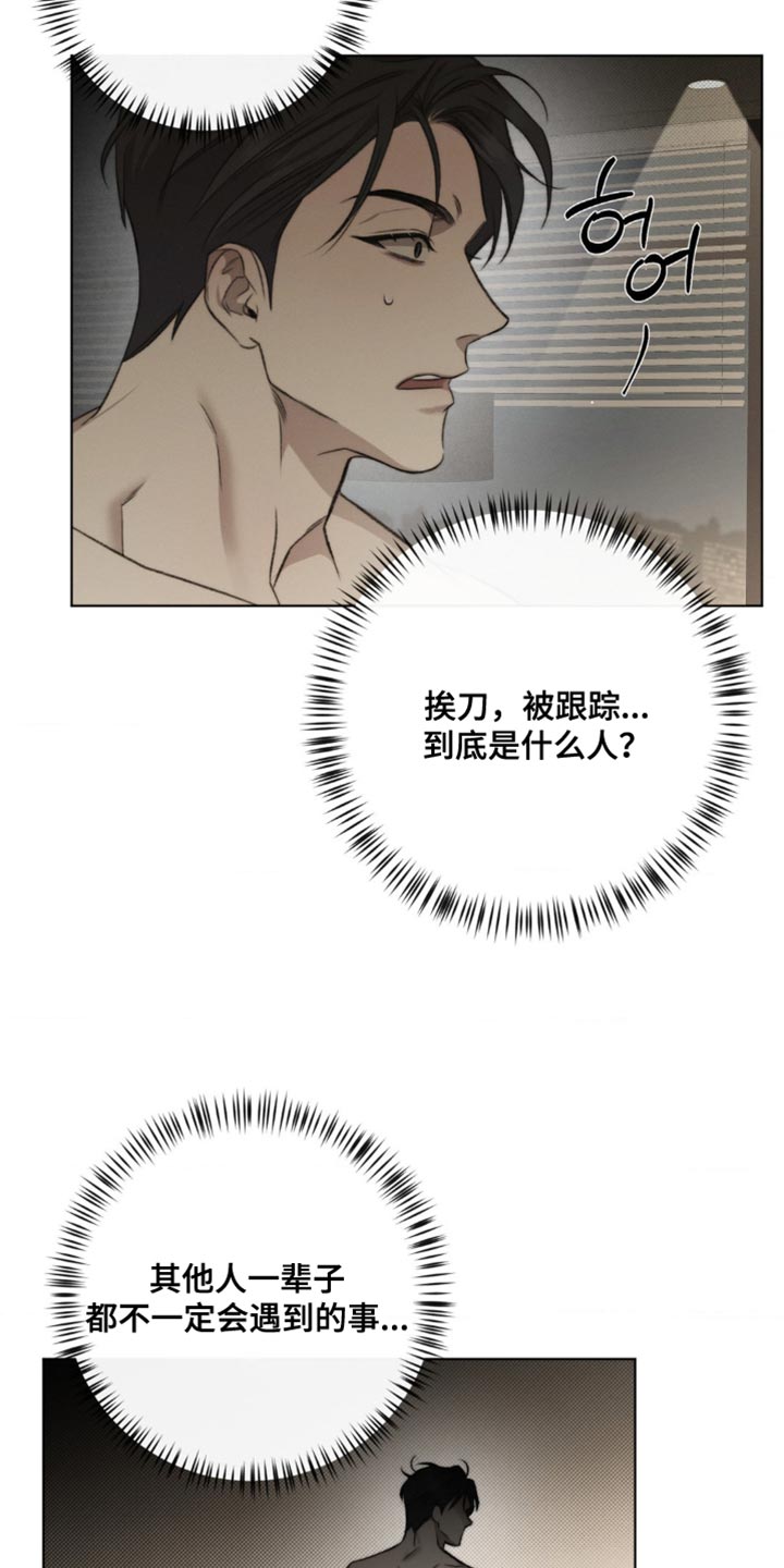 绿洲生态环境有限公司漫画,第17章：一模一样3图