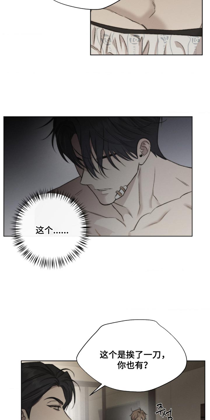 绿洲生态环境有限公司漫画,第17章：一模一样1图