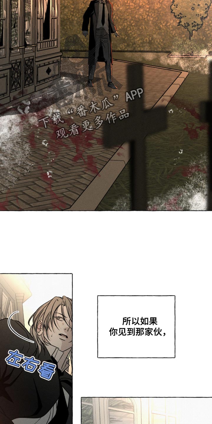 血族囚笼未婚妻经典情节漫画,第67章：请不要找我1图