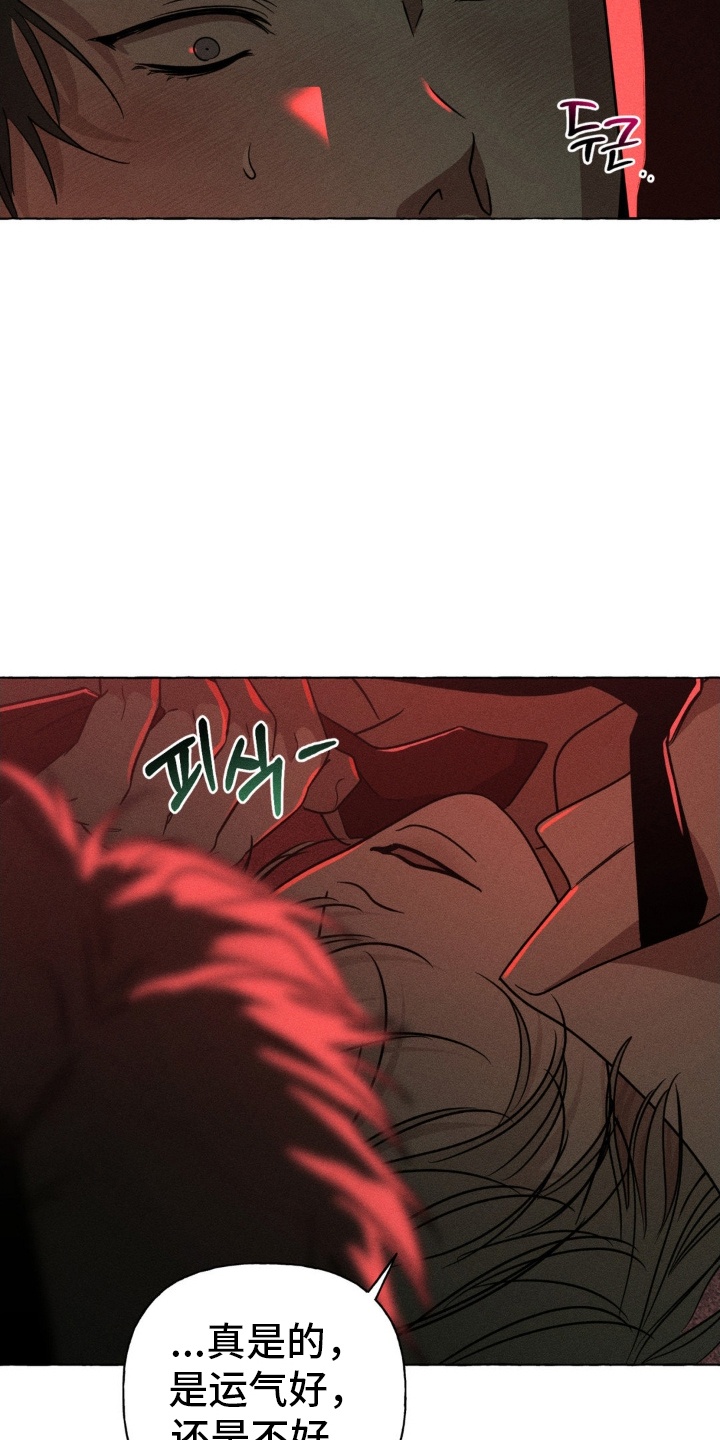 血族禁域漫画免费下拉式酷漫屋漫画,第63章：颓靡4图