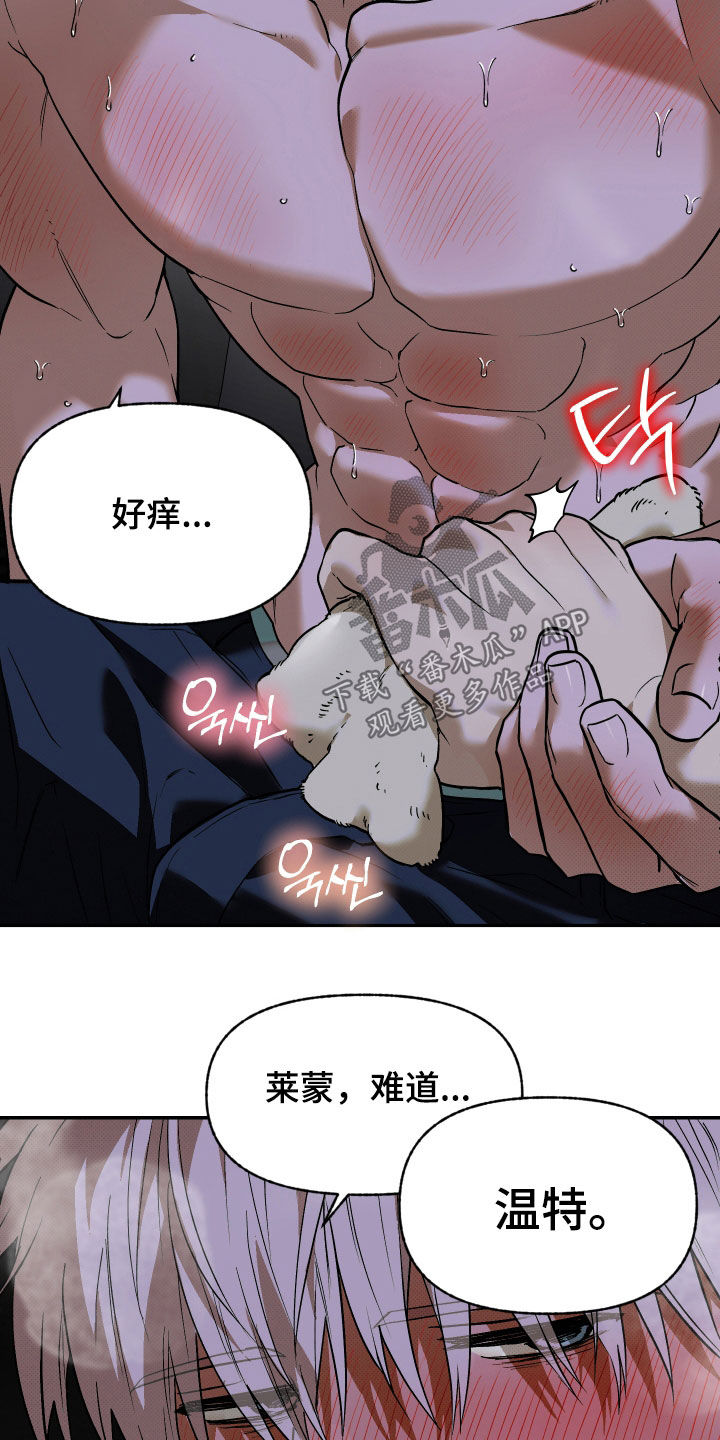 我的小笨熊漫画,第37章：越来越热1图