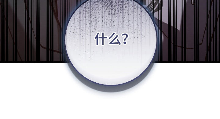 猎人回归漫画免费阅读漫画,第33章：奖励3图