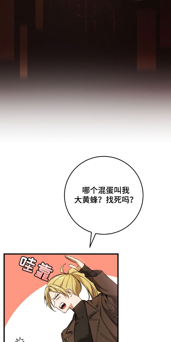 猎人回归漫画,第29章：蜜蜂小姐4图