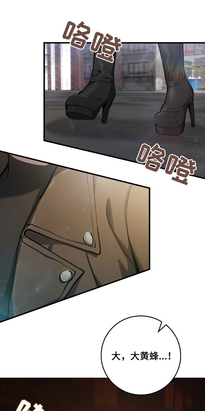 猎人回归漫画,第29章：蜜蜂小姐1图