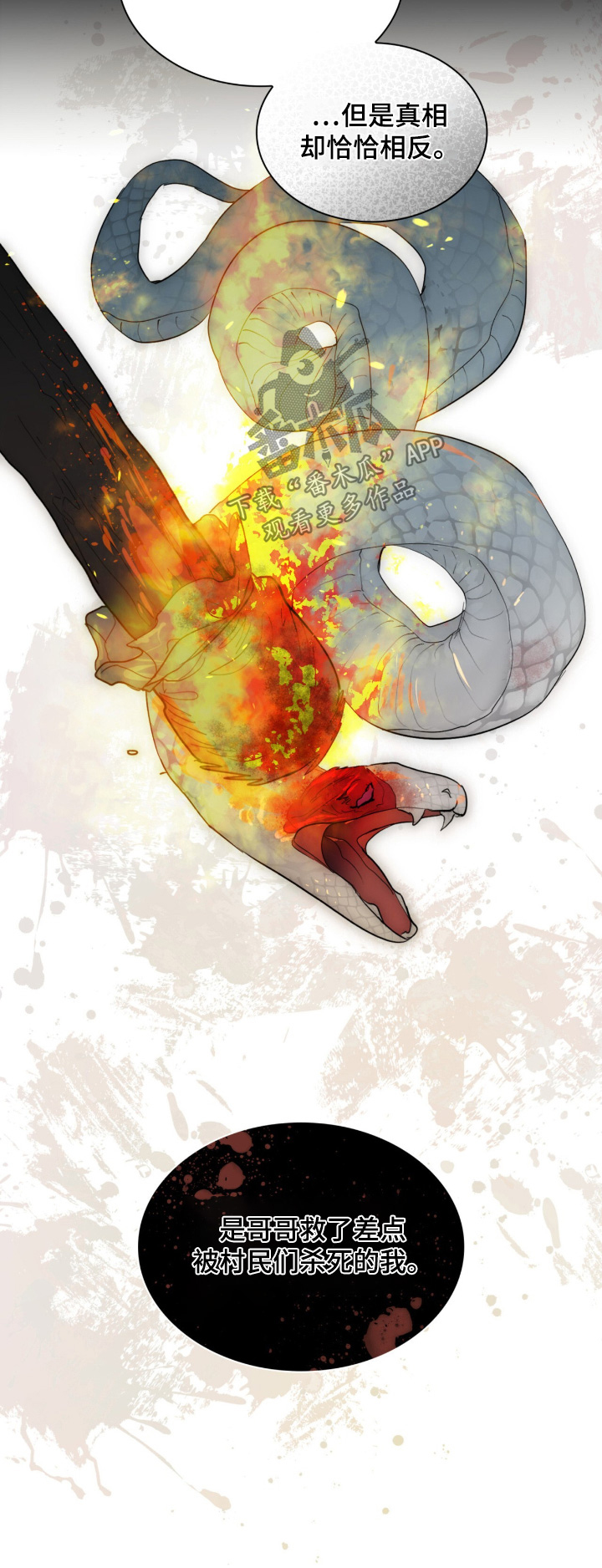 如易转换官网漫画,第24章：没有血缘关系5图