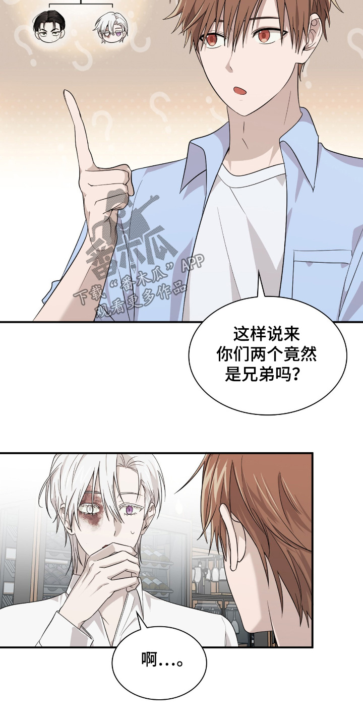 如意珠抖音名漫画,第24章：没有血缘关系2图