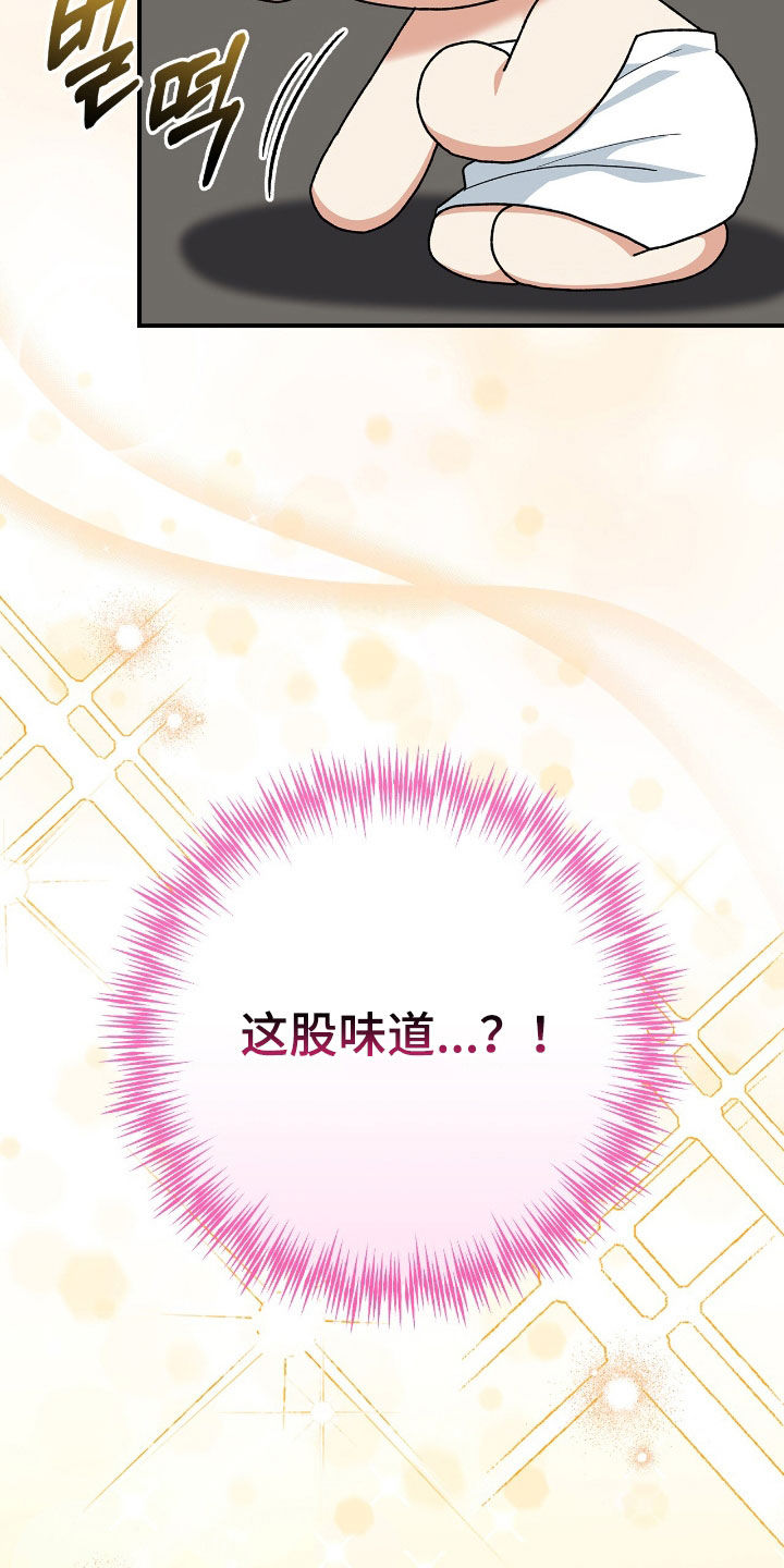 疯批大公的玩偶漫画,第25章：故乡的味道4图