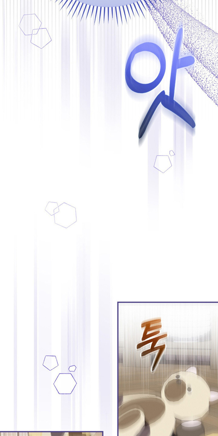 疯批大公的玩偶漫画,第4章：难以置信2图