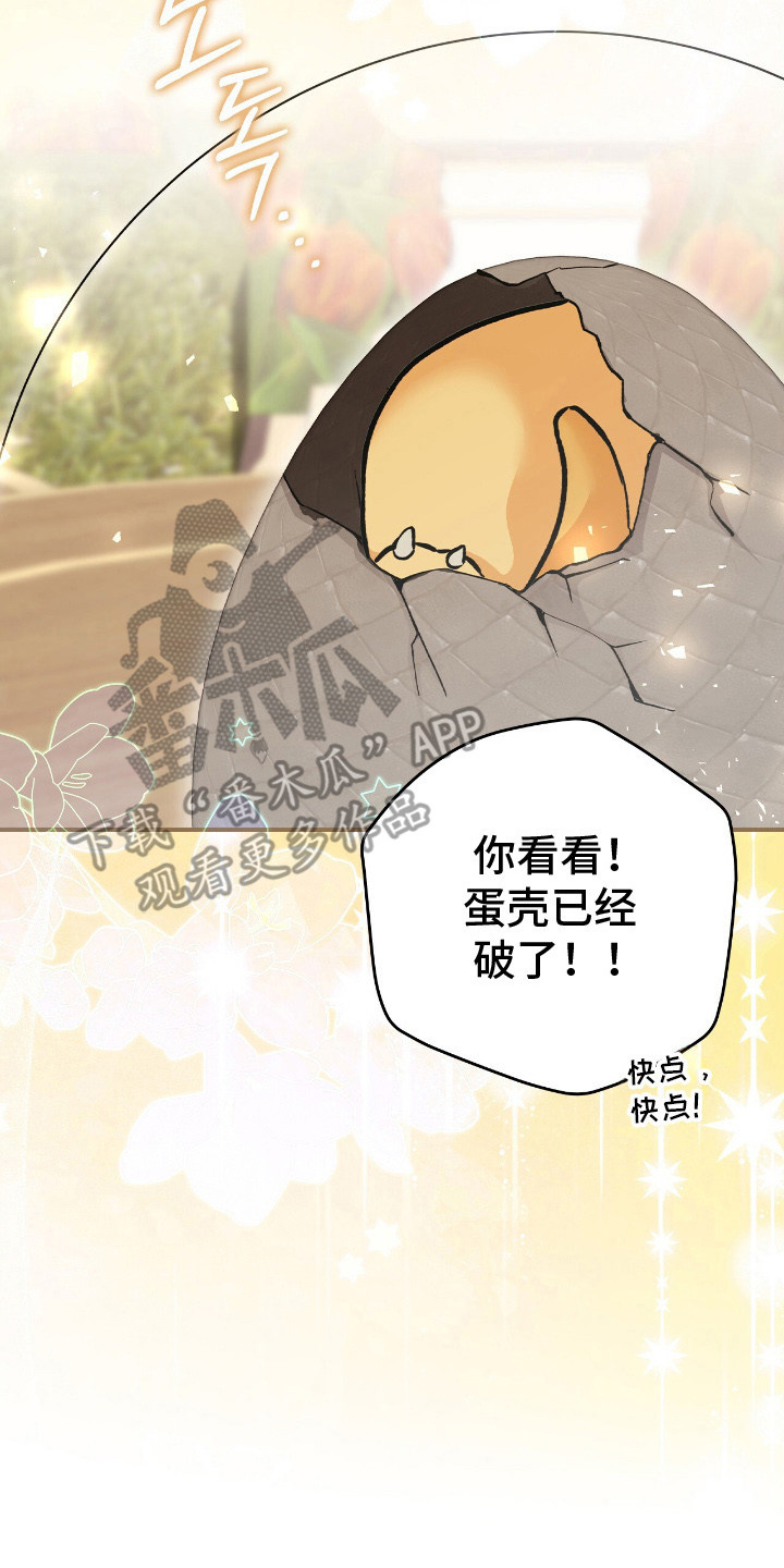 疯批大公的玩偶漫画,第19章：幼龙4图