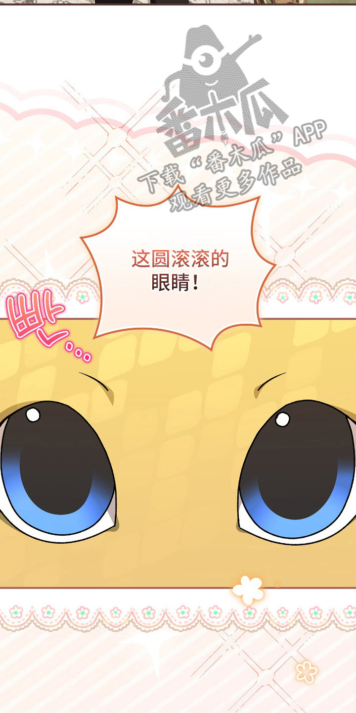 疯批大公的玩偶漫画在现看漫画,第19章：幼龙1图