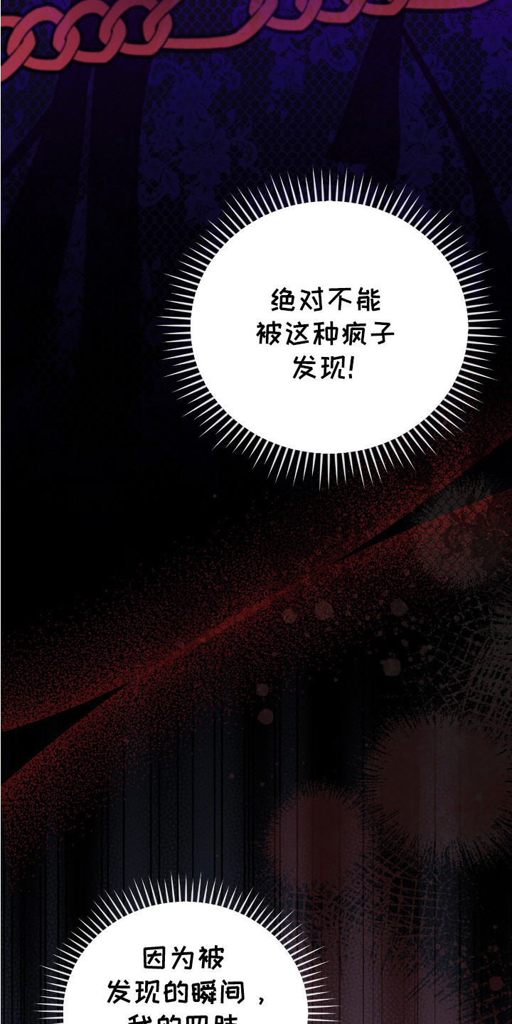 疯批大公的玩偶结局解析漫画,第1章：棉花娃娃5图