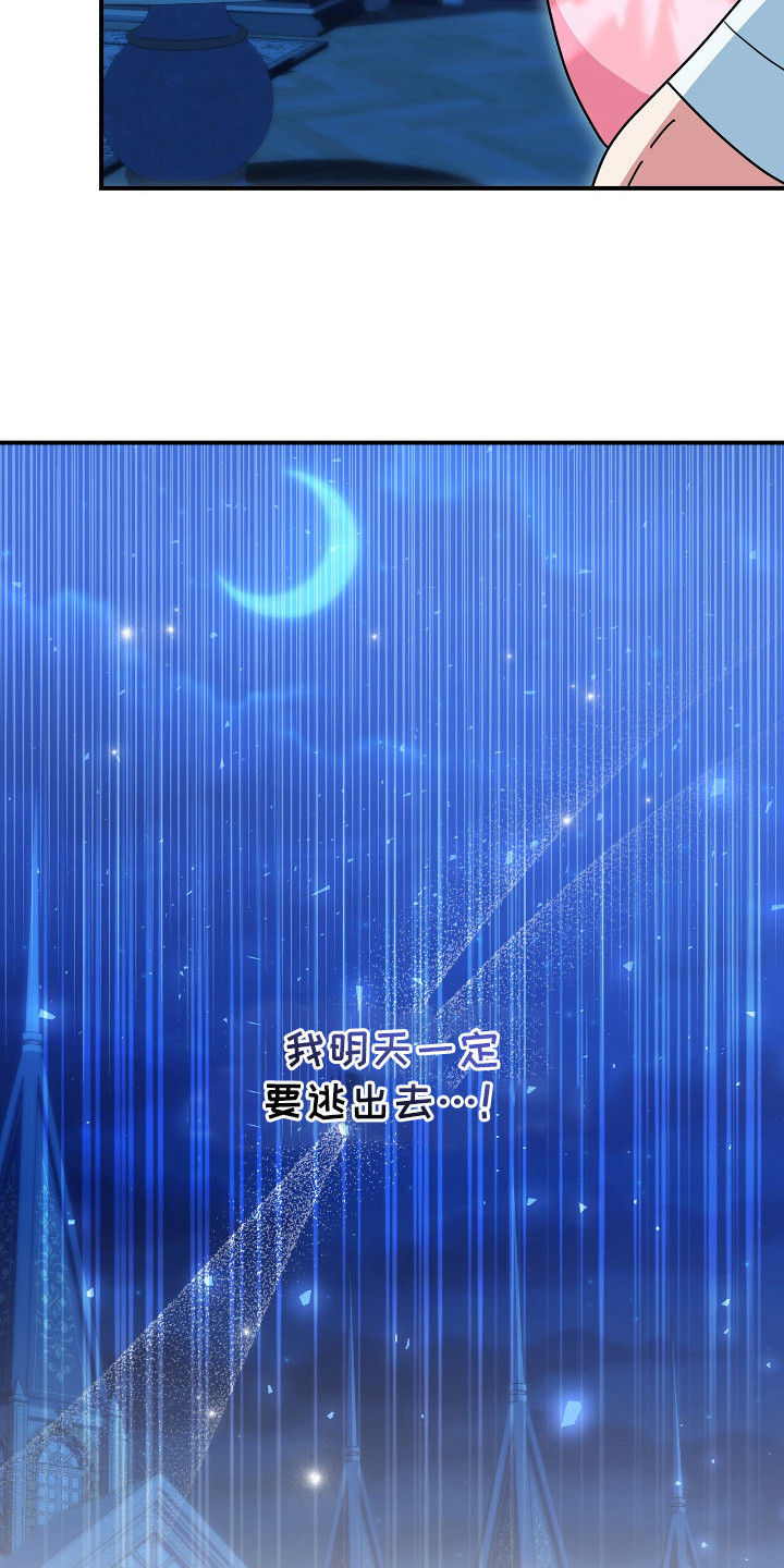 疯批大公的玩偶小说阅读漫画,第7章：珍藏5图