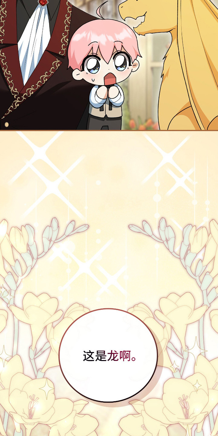 疯批大公的玩偶漫画,第19章：幼龙2图