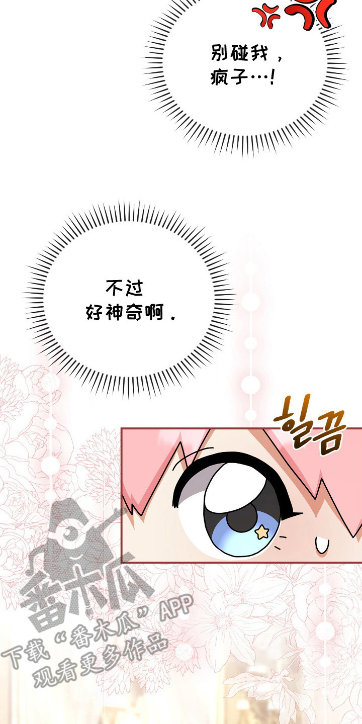 《疯批大公的玩偶》的作者是谁漫画,第6章：大公2图