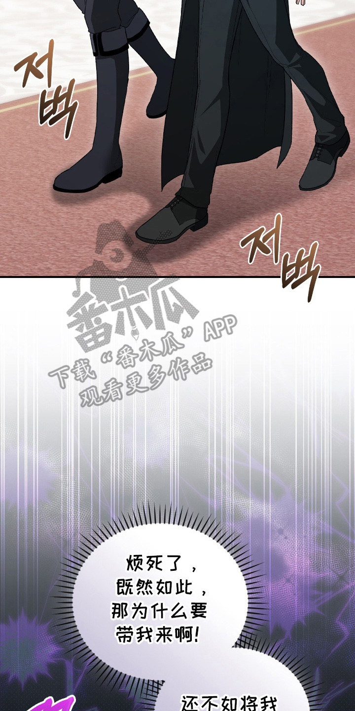 疯批大公的玩偶漫画,第13章：皇宫3图