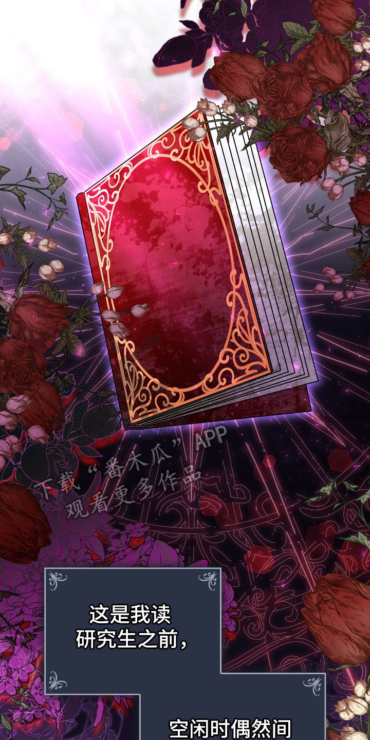 大型疯兔玩偶漫画,第5章：小说世界2图