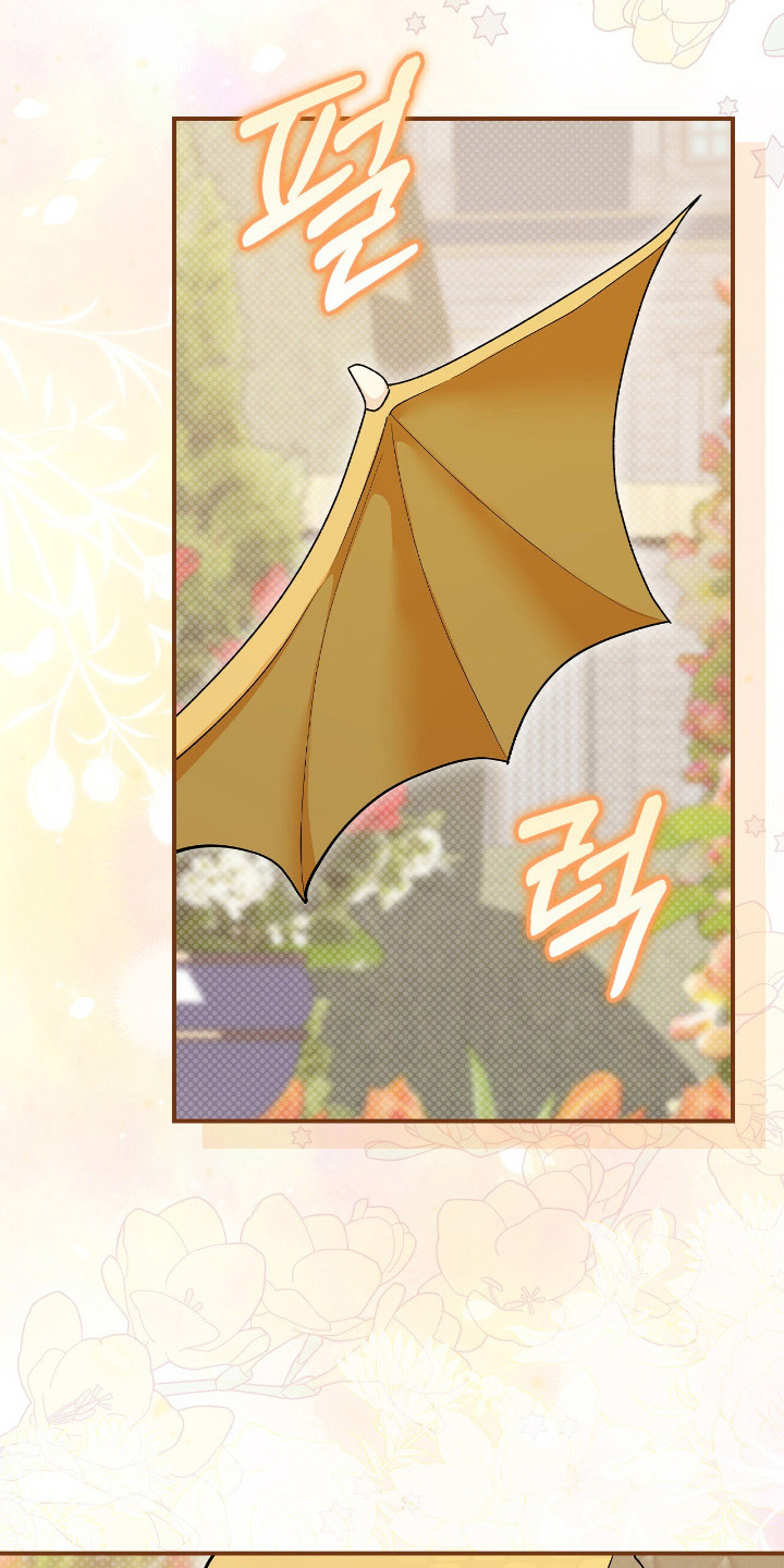 疯批大公的玩偶漫画,第19章：幼龙3图