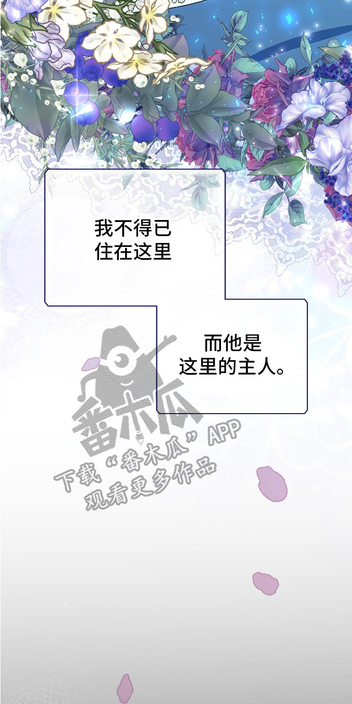 疯批大公的玩偶结局解析漫画,第1章：棉花娃娃2图