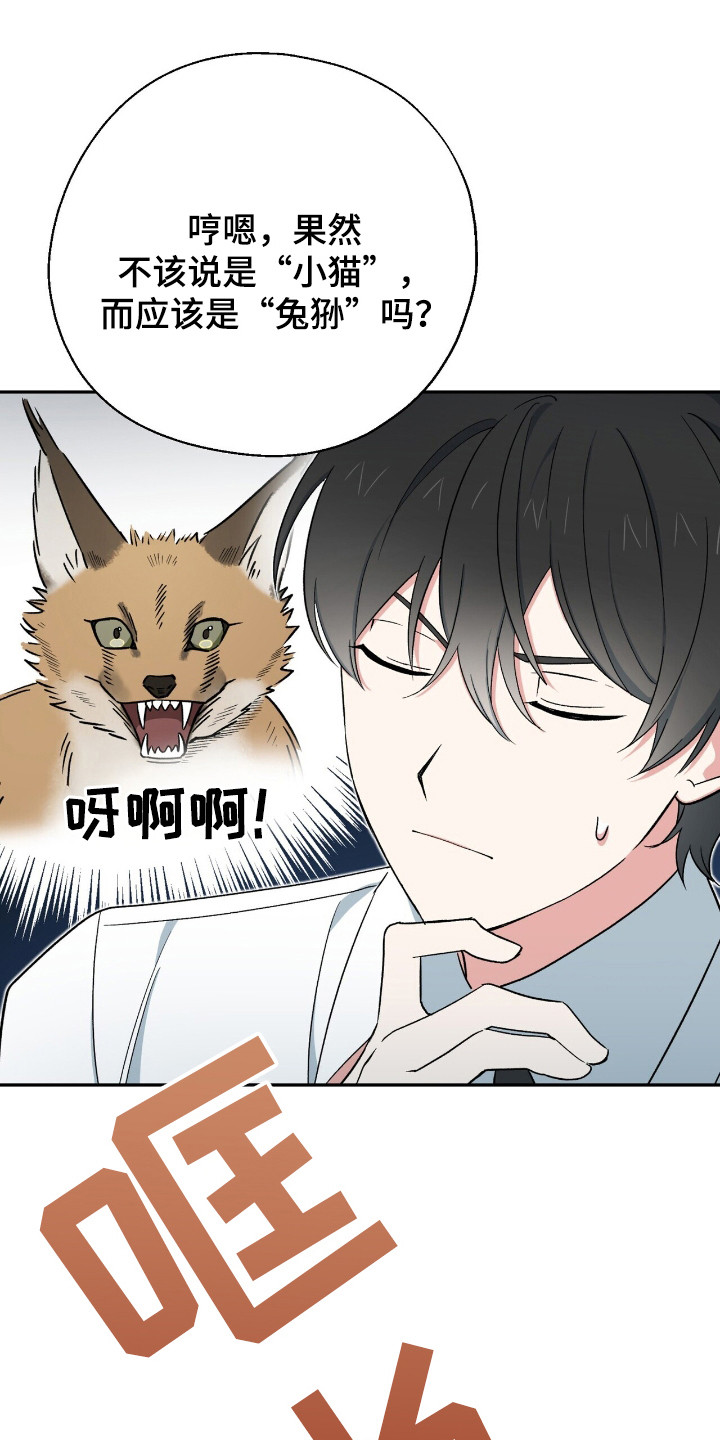 黑暗时代漫画,第12章：炸毛1图