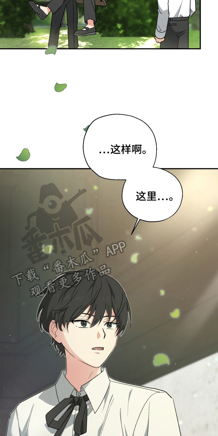 植物大战僵尸2黑暗时代漫画,第4章：学校5图