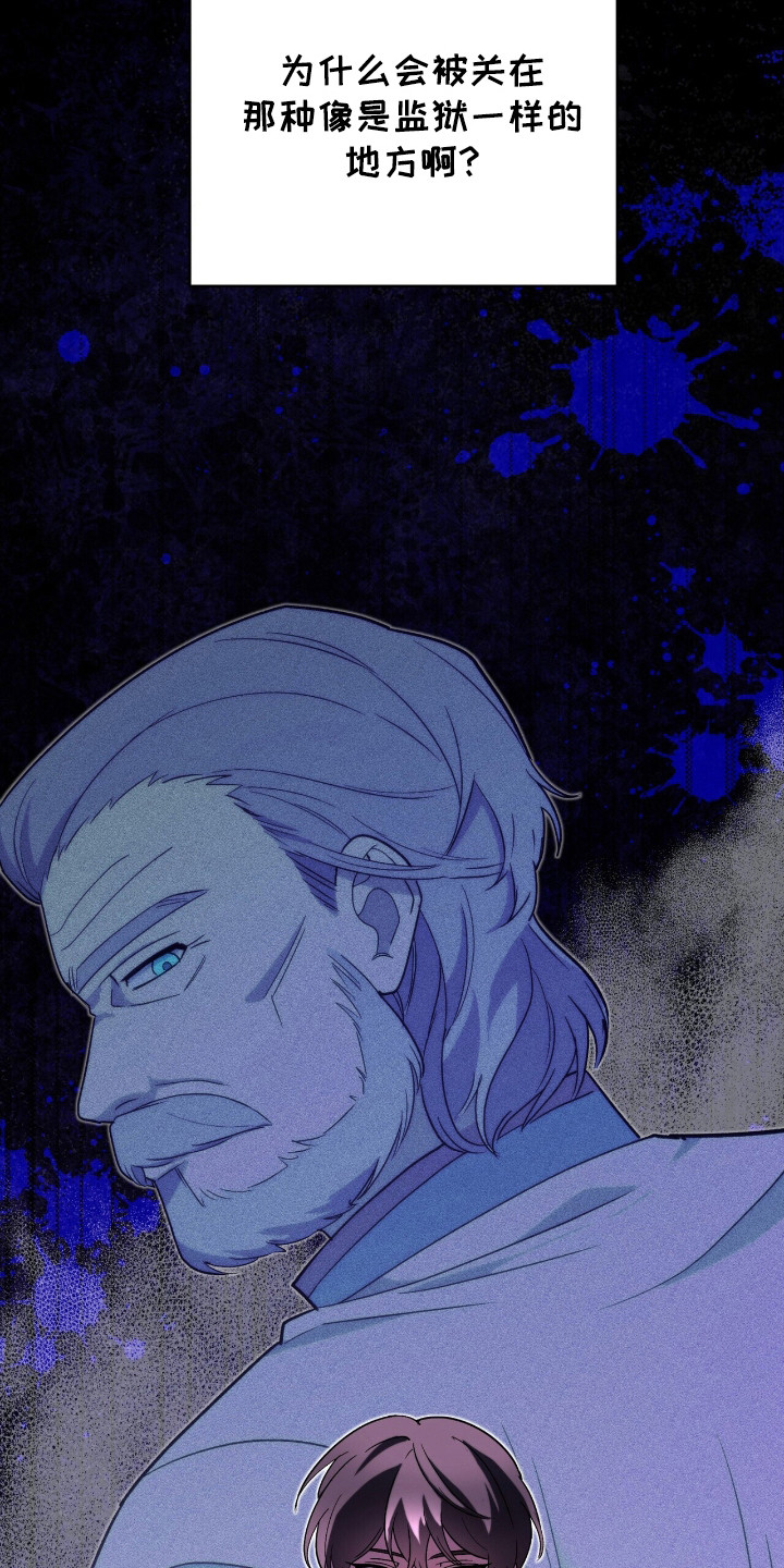 植物大战僵尸2黑暗时代漫画,第8章：疑惑1图