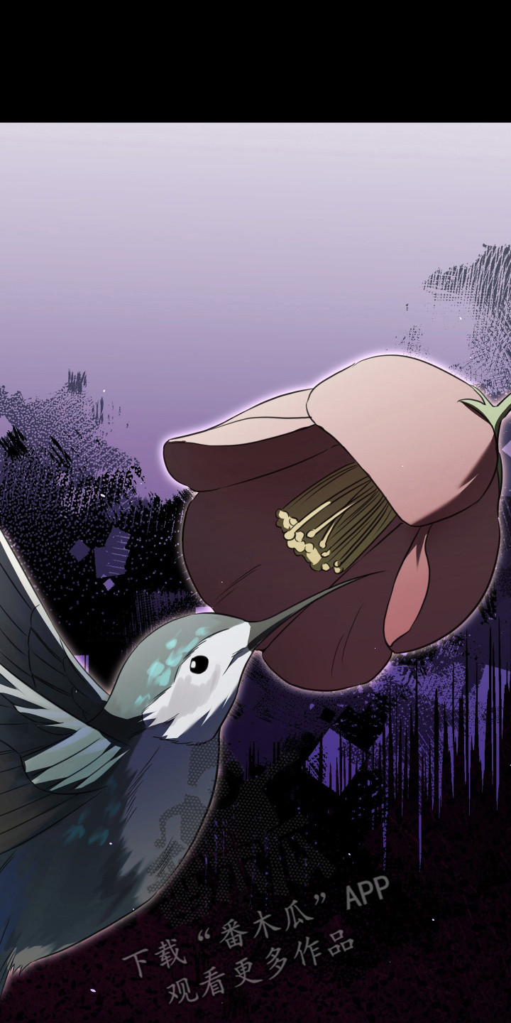 法外之地漫画,第1章：治外法权2图