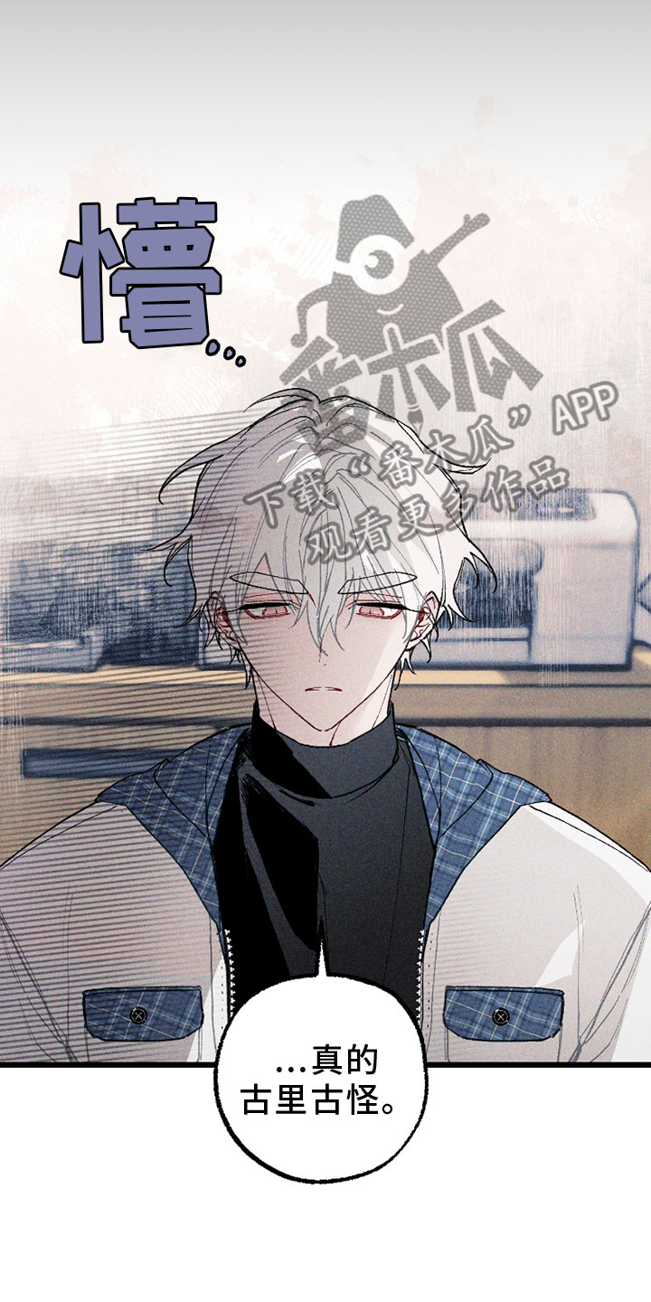 命运的名字漫画,第6章：挡箭牌2图