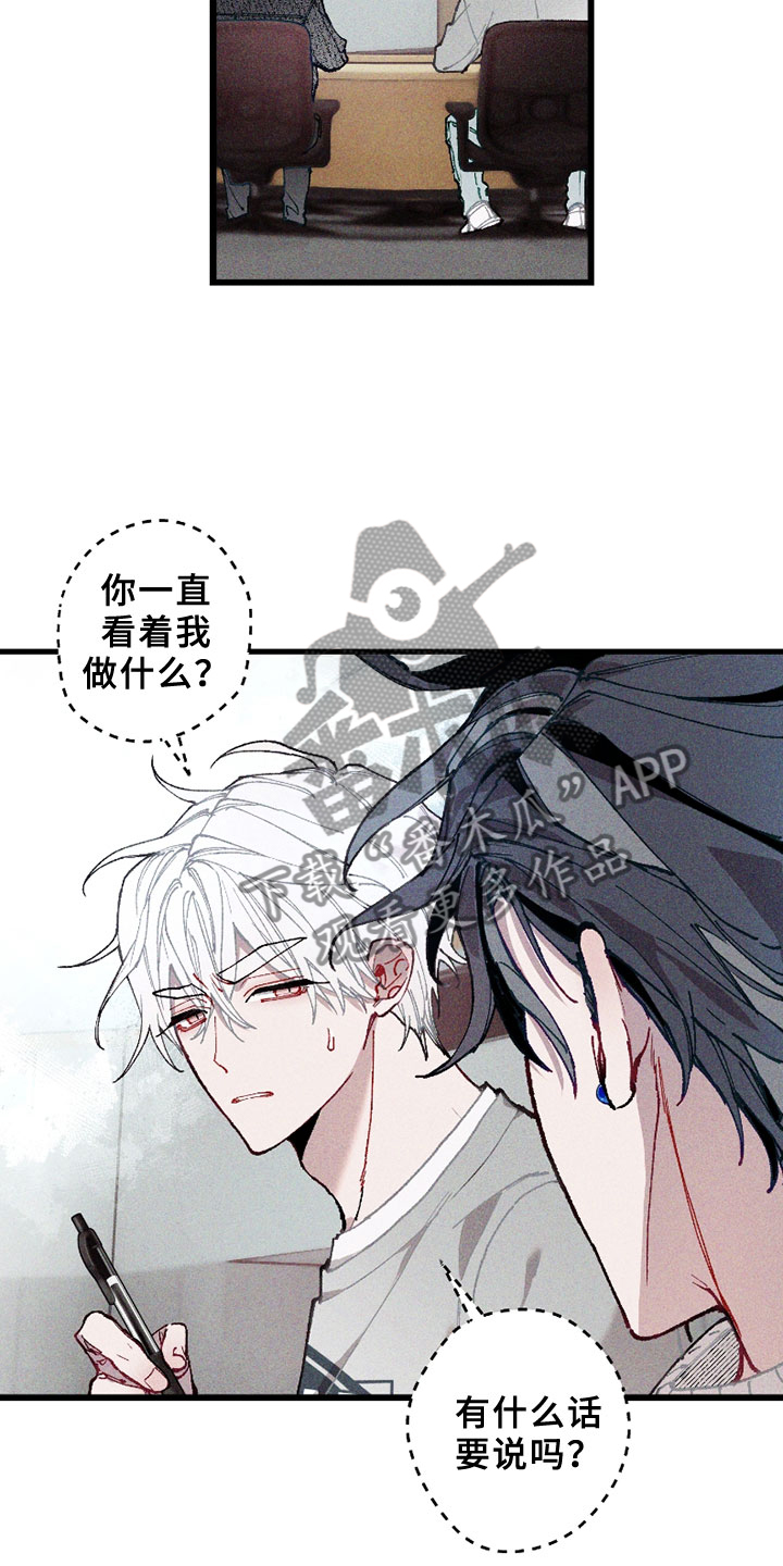 第5章：注视4