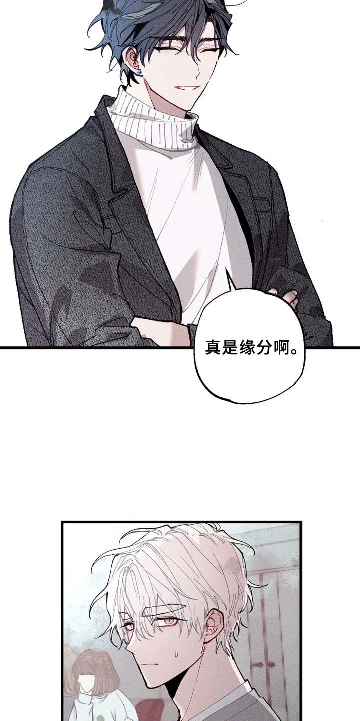 第5章：注视4
