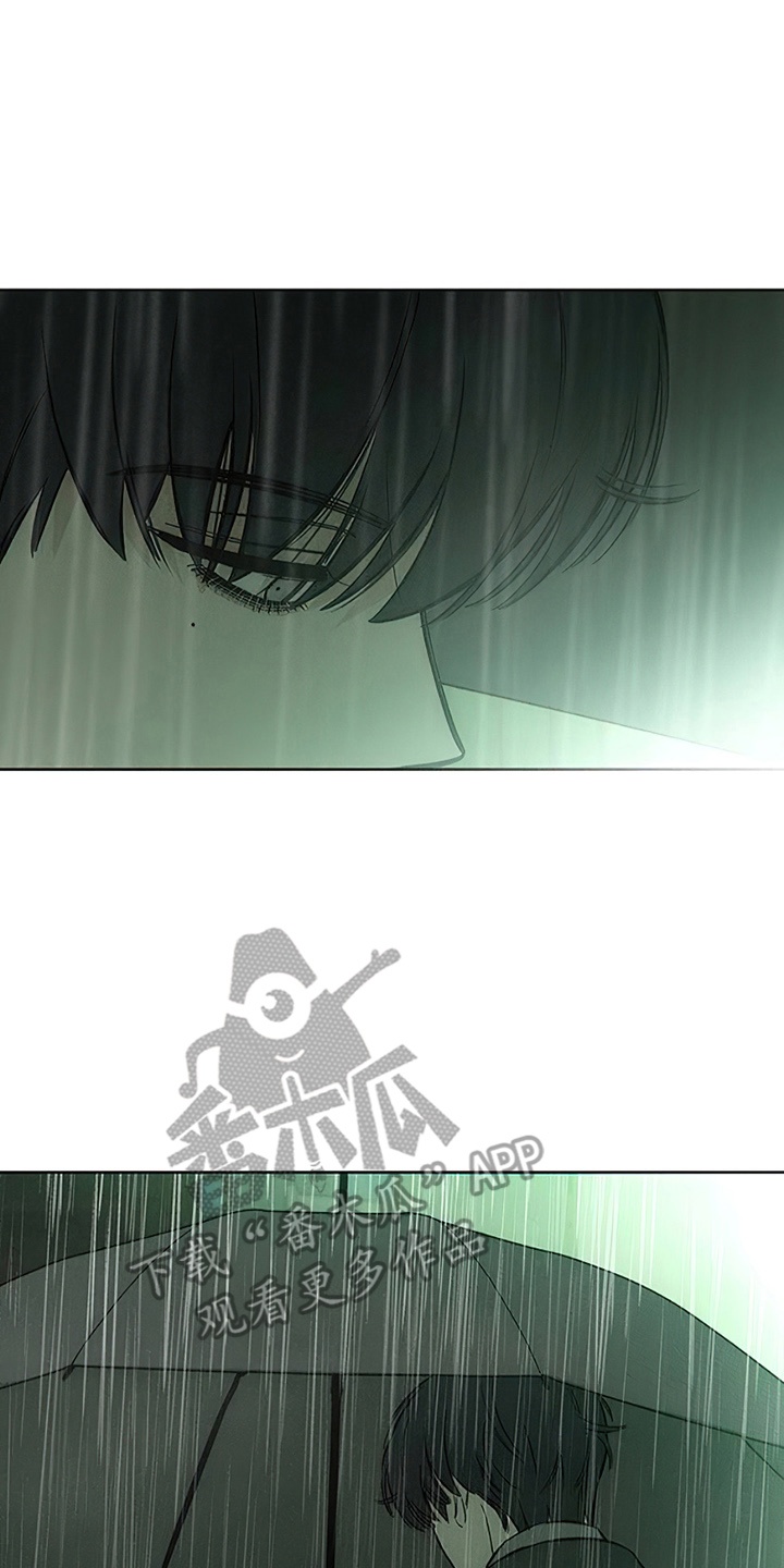 枯萎的花伤心的泪同类型漫画,第13章：一起撑这把伞吧5图