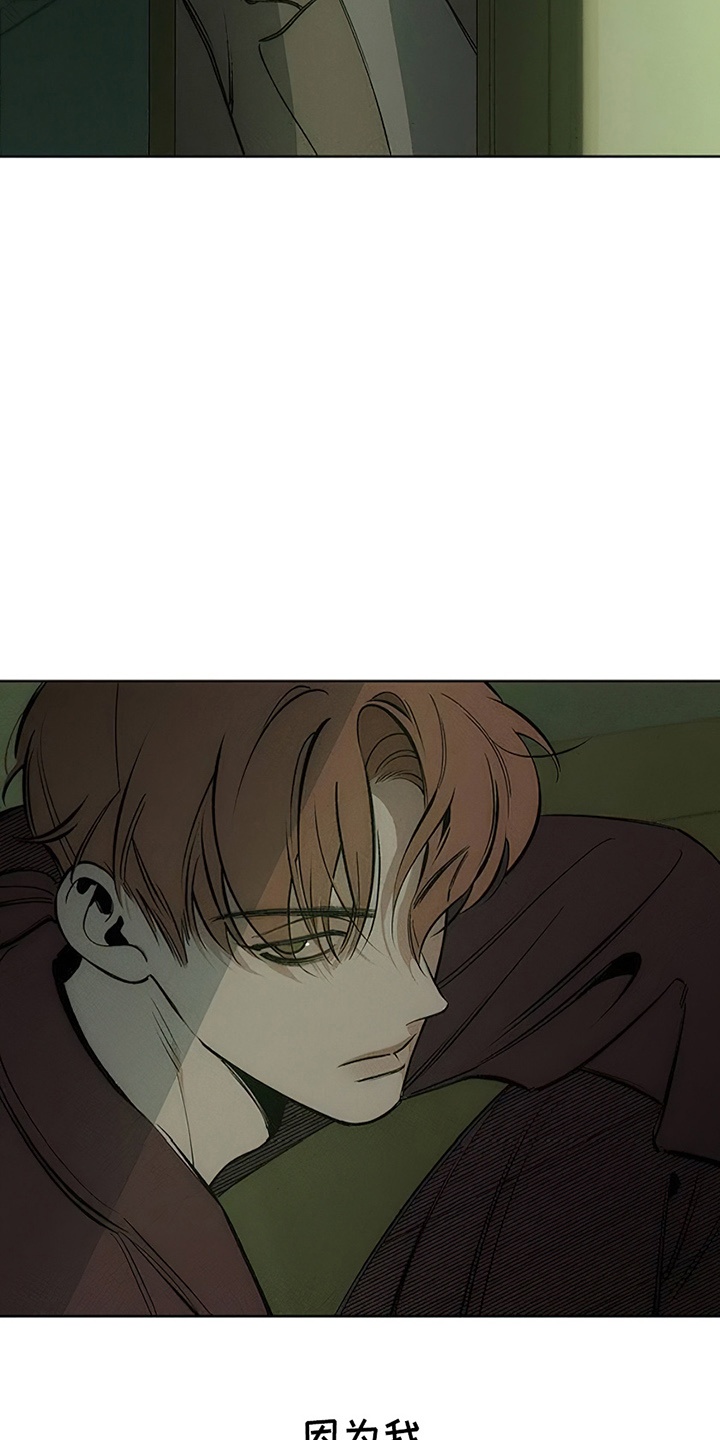 枯萎的花伤心的泪漫画,第2章：青春4图