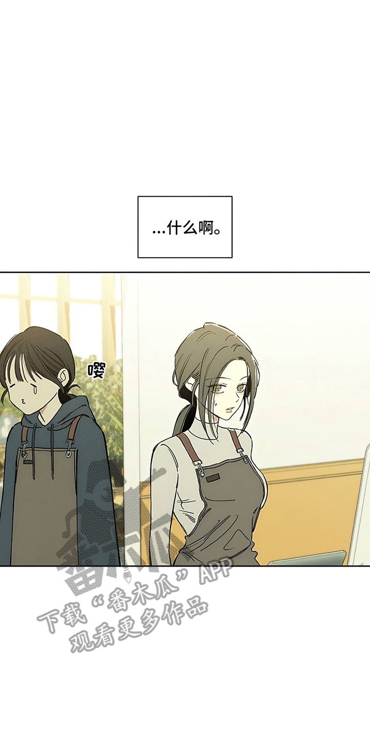 枯萎的花伤心的泪漫画,第4章：玫瑰4图