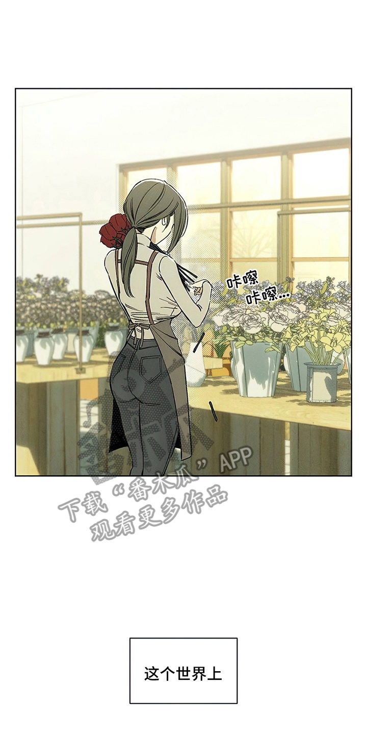 枯萎的花伤心的泪漫画,第4章：玫瑰5图