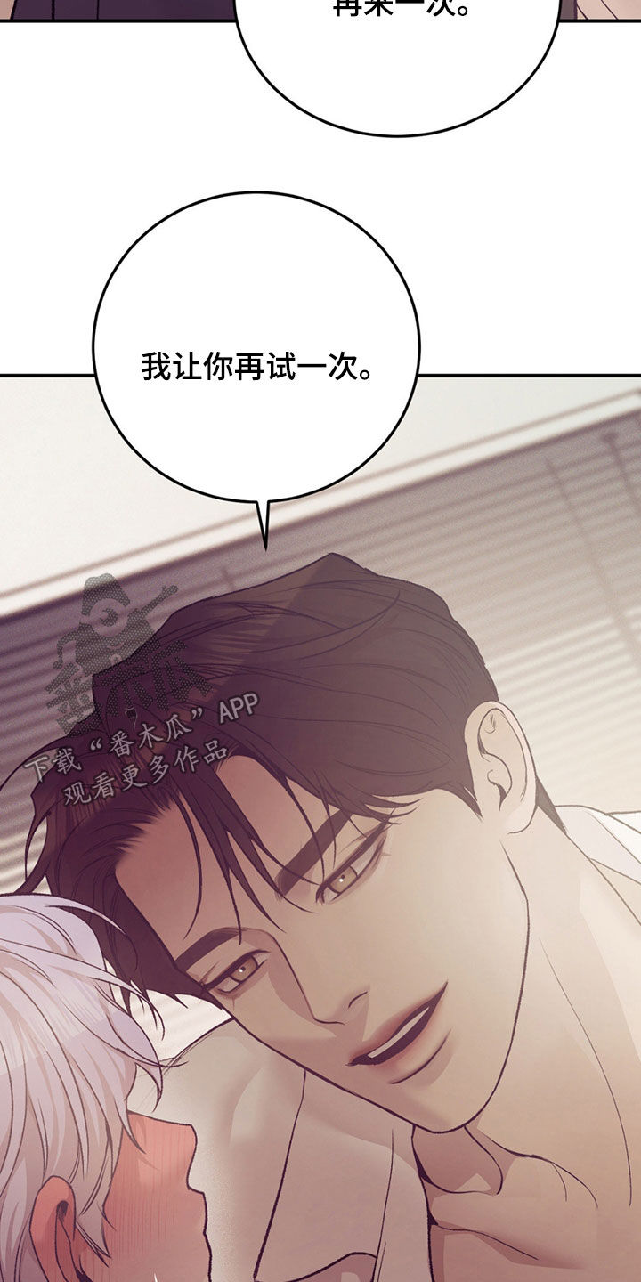 贝壳少年外传17漫画,第195章：【外传】再试一次2图