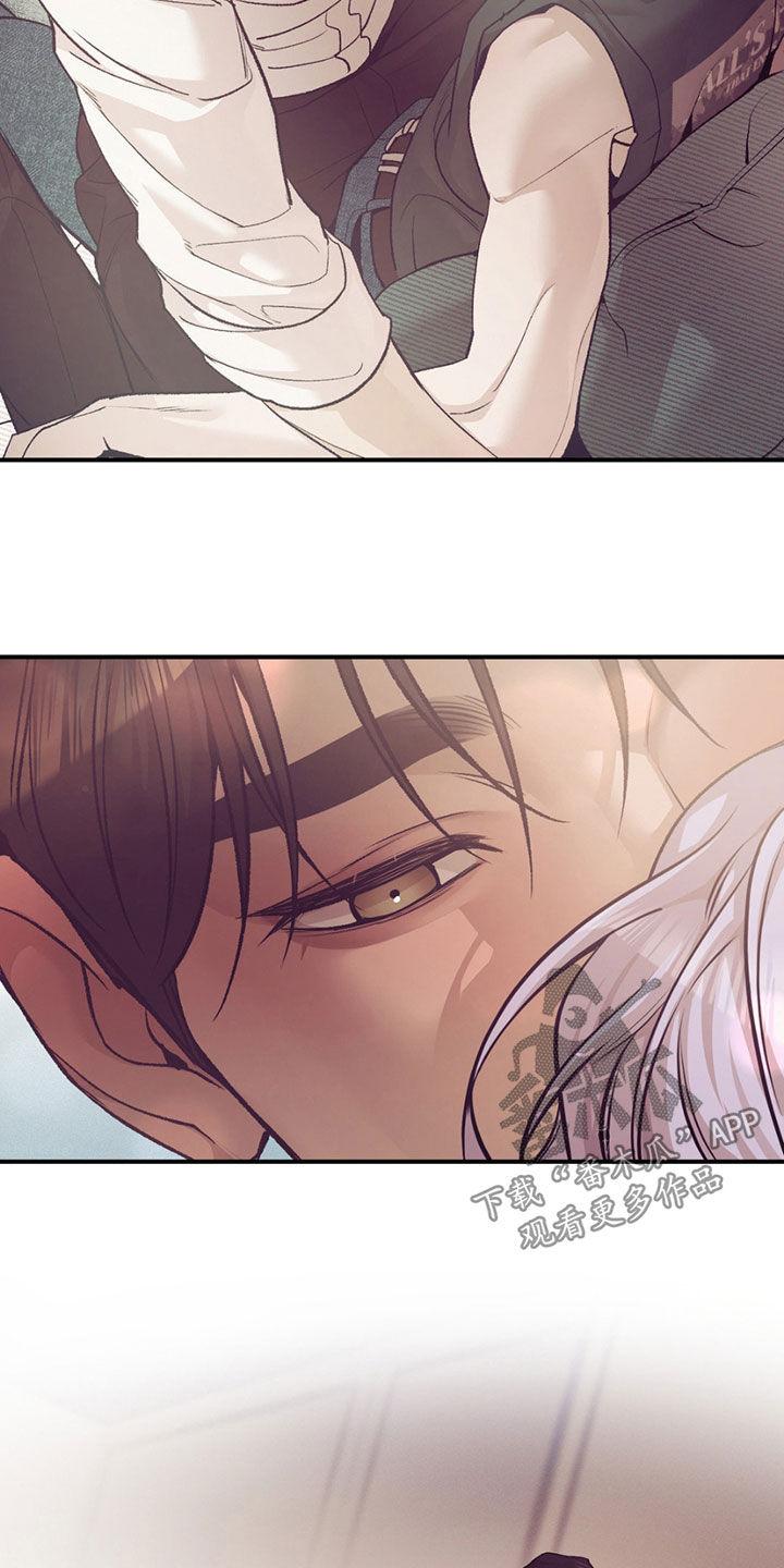 贝壳少年外传17漫画,第195章：【外传】再试一次5图