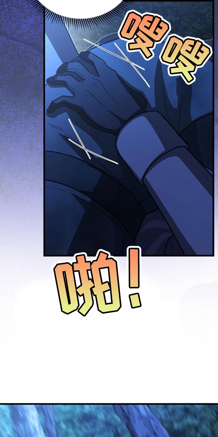 王室教师海涅高清壁纸漫画,第64章：我得慎重些4图