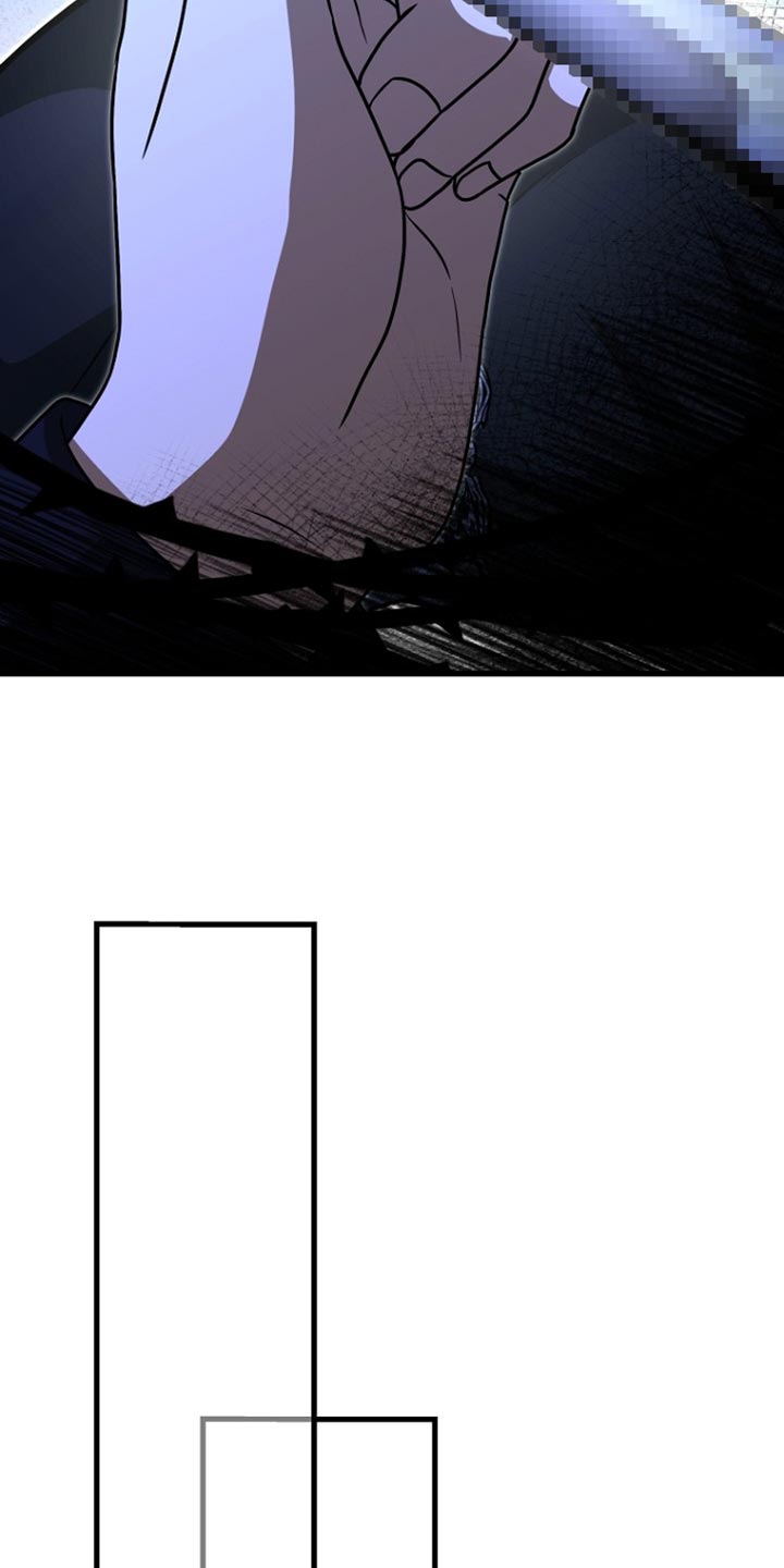 皇家师妲漫画,第62章：说实话3图