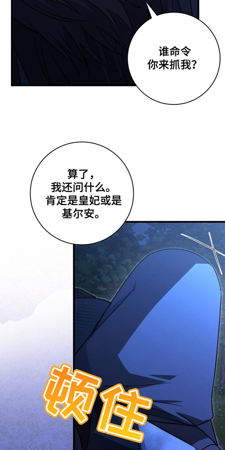 王室教师海涅高清壁纸漫画,第64章：我得慎重些1图