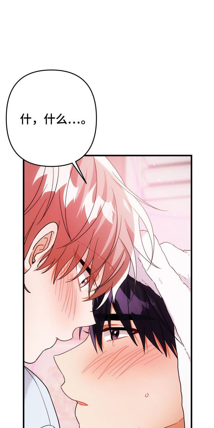 灰熊的住宅漫画,第59章：玫瑰香气3图