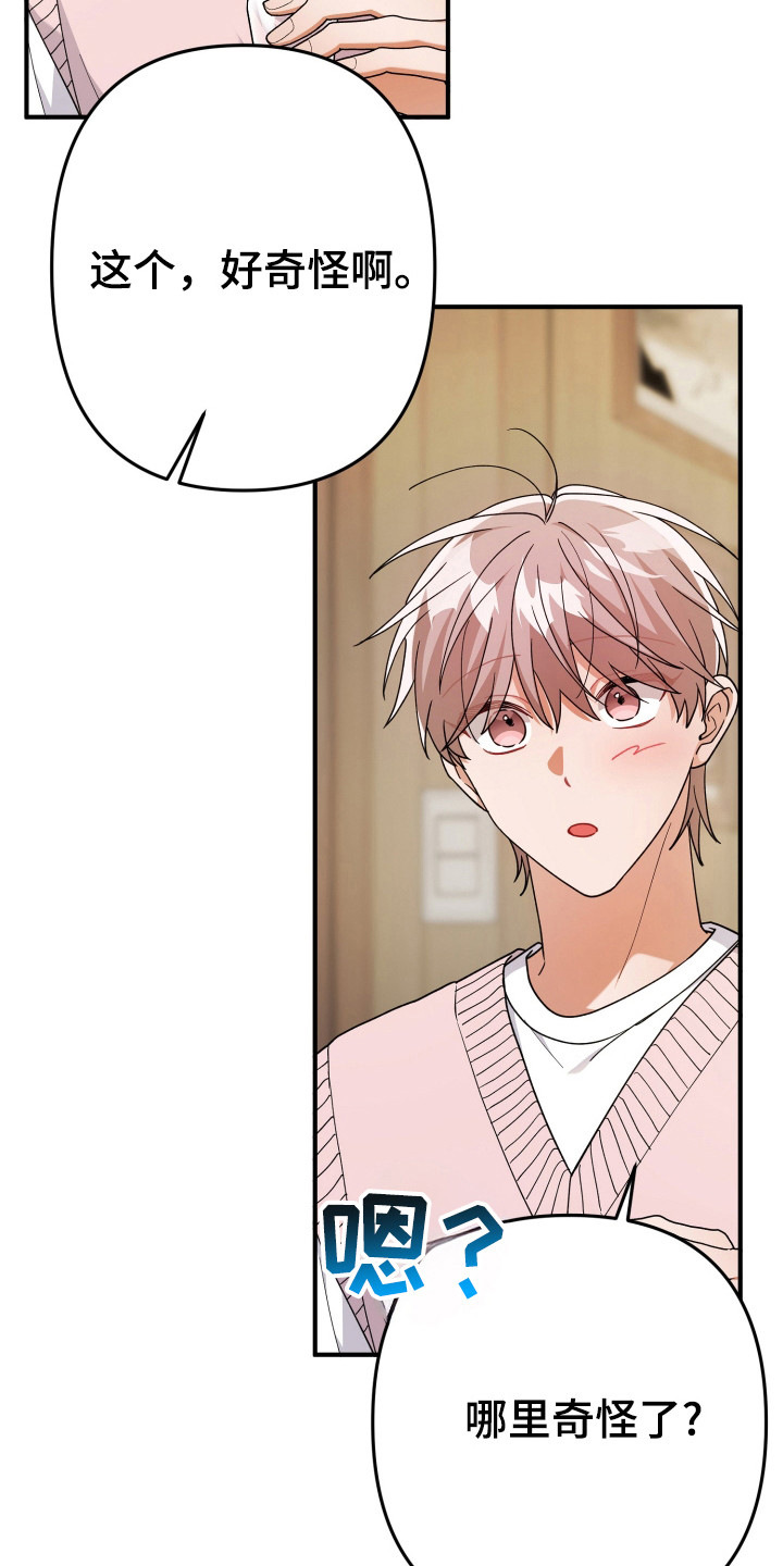 灰熊丘陵住宅漫画,第55章：全部遗忘2图