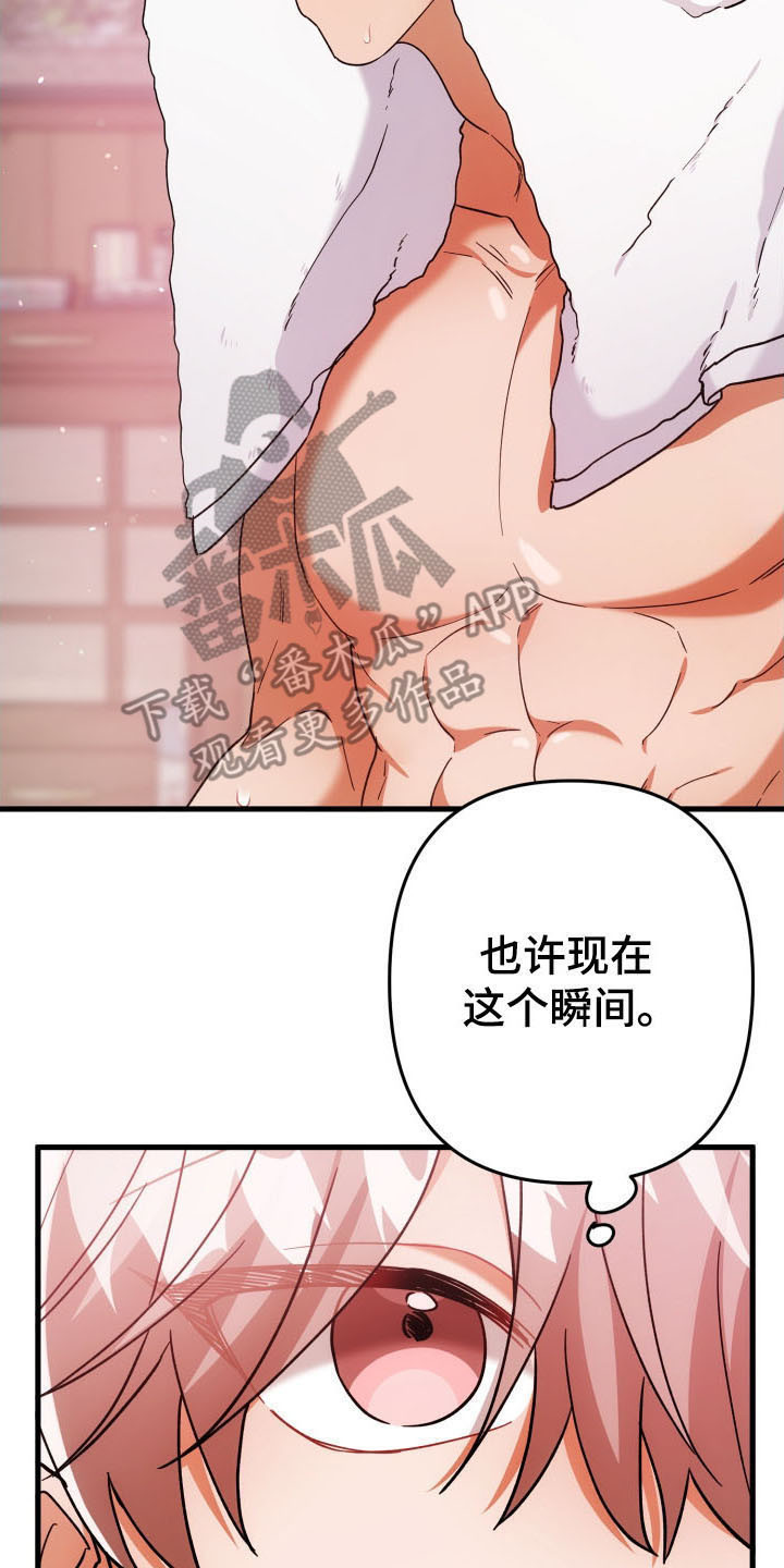 灰熊的玫瑰住宅漫画,第59章：玫瑰香气5图