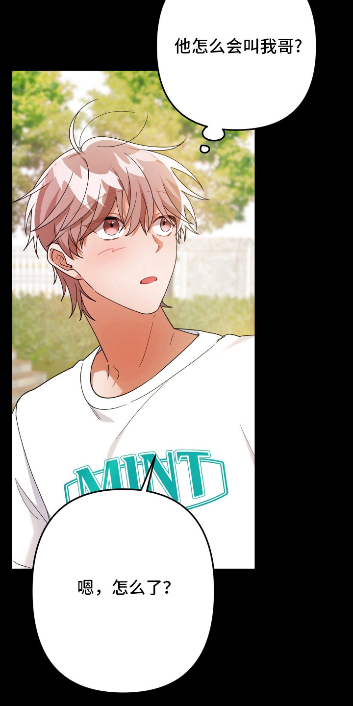 灰熊的玫瑰住宅韩漫漫画,第50章：正常运转4图