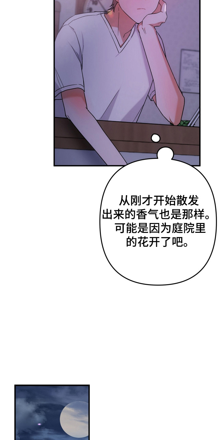 灰熊的玫瑰住宅韩漫漫画,第53章：奇怪想象2图
