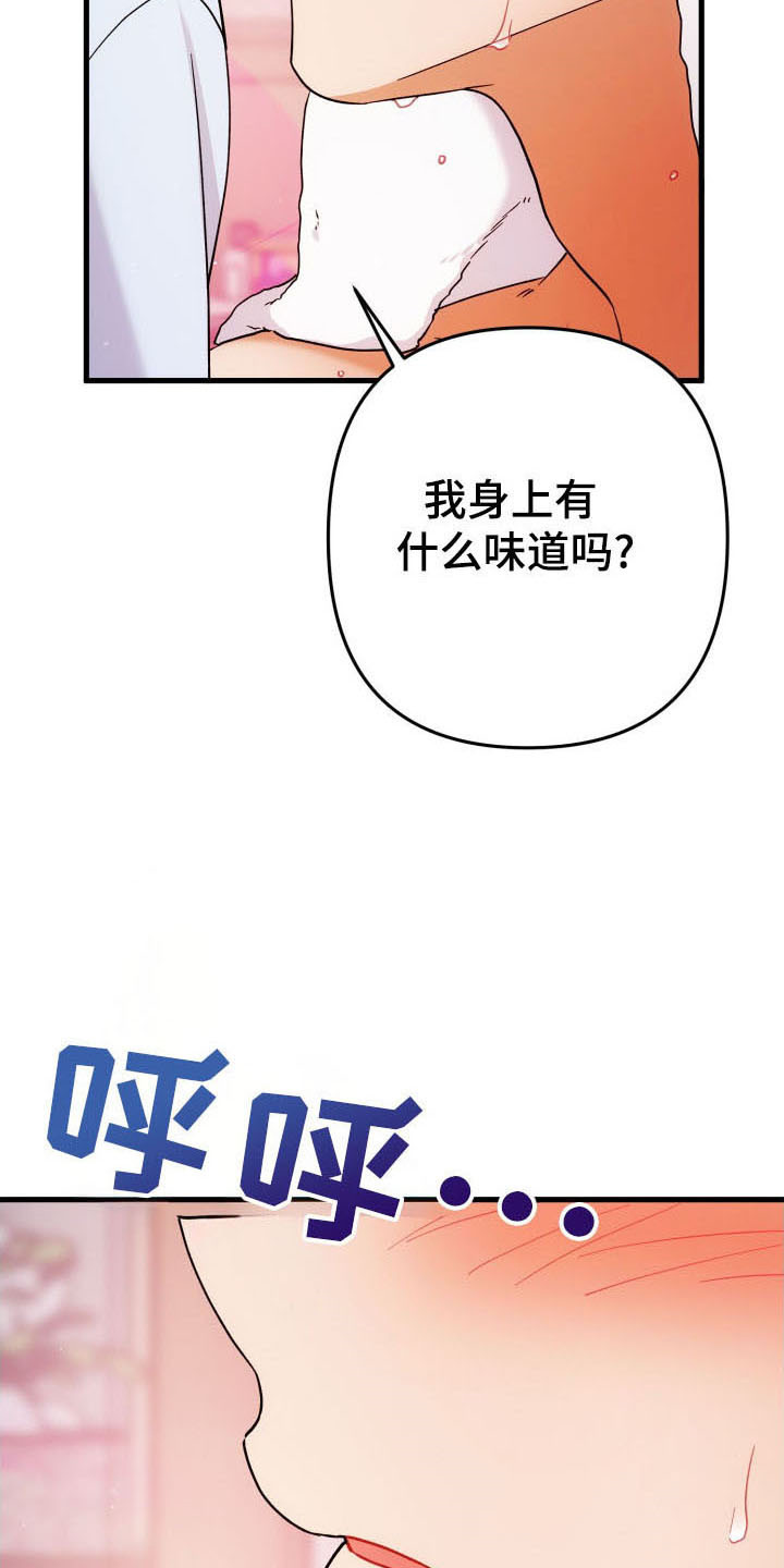 灰熊的住宅漫画,第59章：玫瑰香气4图