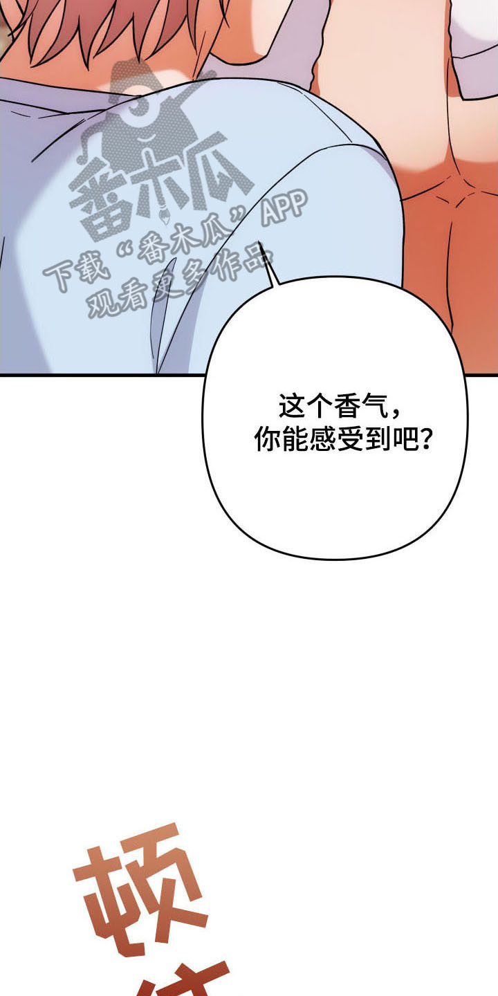 灰熊丘陵房屋漫画,第59章：玫瑰香气2图