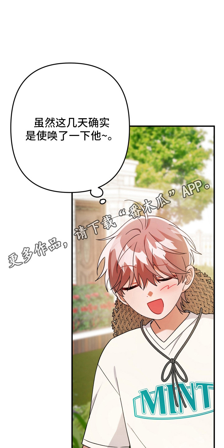 灰熊的玫瑰住宅韩漫漫画,第50章：正常运转3图