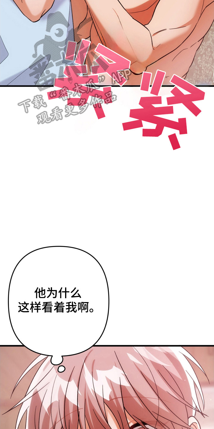 灰熊的玫瑰住宅漫画,第61章：触碰4图